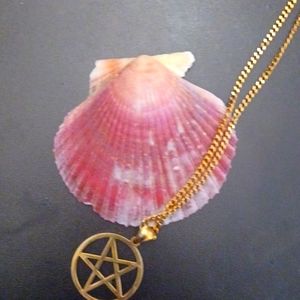 Divining shells limited edition Spellbindah@tiktok